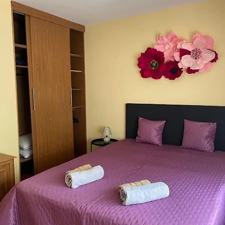 цветно Apartament *